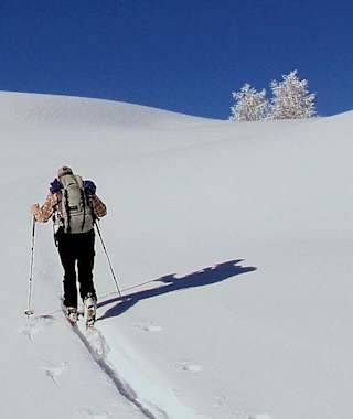 Auf der Häusleralm