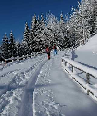 Gemütlicher Aufstieg