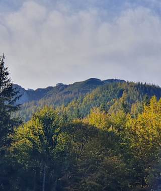 Aufstieg zum Feuerkogel