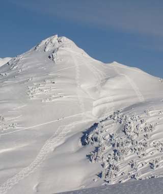 Blick vom Kornbichl in Richtung Sonnspitz