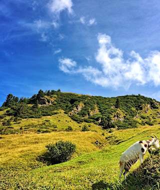 Aus dem Valsertal auf die Geraerhütte