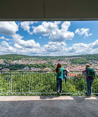 Ausblick auf Meiningen