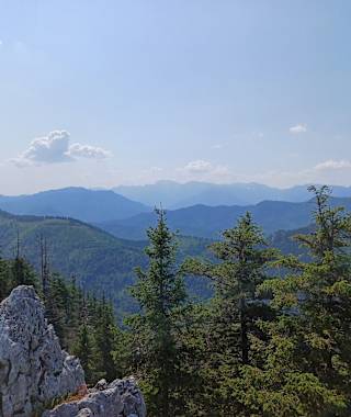 Aussicht vom Zwillingskogel