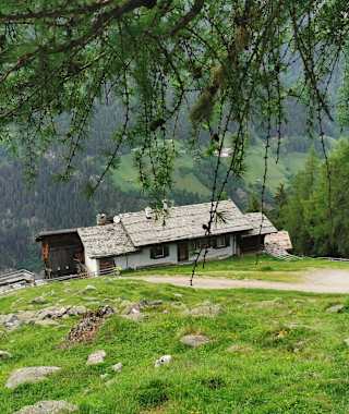 Die Autenalm steht auf einer Waldlichtung am Elfer im Stubaital