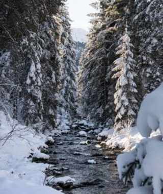 Der Bach im Angertal