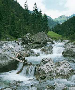 Wild rauscht das Wasser der Lutz um die riesigen Felsklötze.