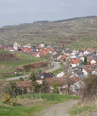 Ausgangspunkt: Oberbergen, Wanderparkplatz Mondhalde am Ortseingang