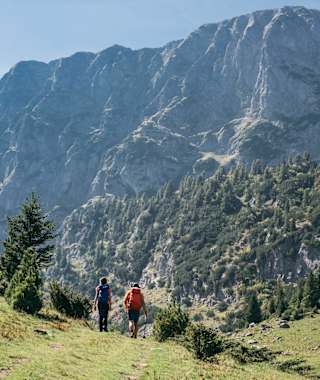 Hat man die Waldgrenze erst einmal überschritten, wandert man auf einer Hochebene immer weiter der imposanten Mauer der Hajla entgegen.