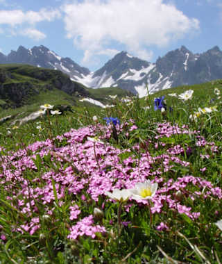 Die begraste Abfahrt verspricht Spass - auch für das Auge.