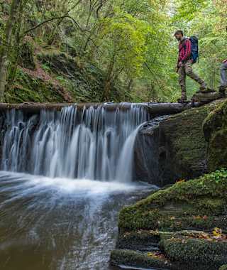 Auf der Traumschleife Baybachklamm