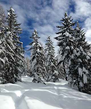 Winterlandschaft Deutschnonsberg