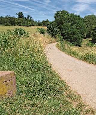 Alter Wegestein in der Striet bei Bensheim.