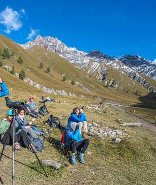 Beobachter der Hirschbrunft auf dem Rastplatz Val Mela in der Val Trupchun
