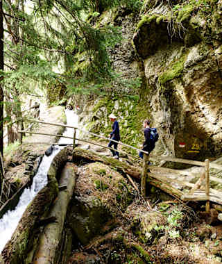 Berg- und Leitenwaal