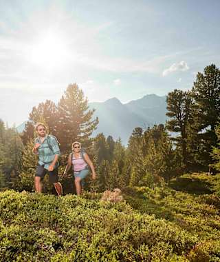 Durch einen lichten Zirbenbestand geht es aufwärts zum Bergli