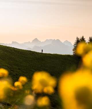 Über den Fellhorngrat