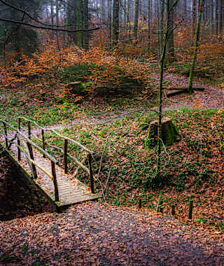 Bergtour auf den Höchsten
