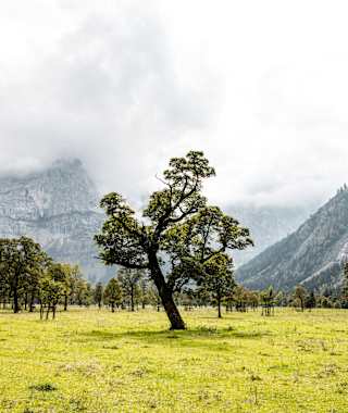 Der Ahornboden im Karwendel