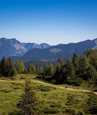 Höhenwanderweg "Oben ummi"