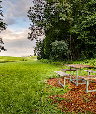 Bermatinger Waldwiesen