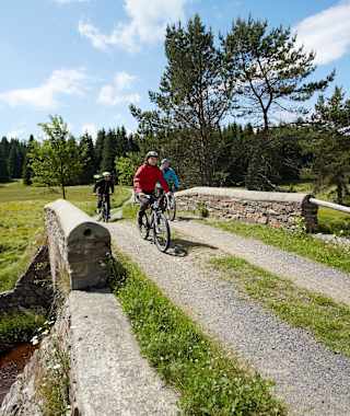 Am Neugrabenweg bei Pobershau Kühnhaide