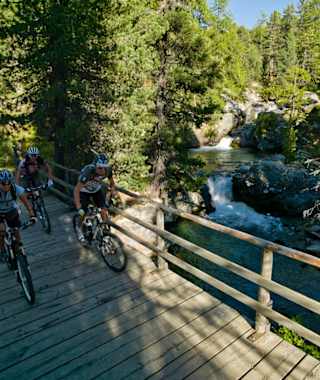 Am Berninabach bei Morteratsch