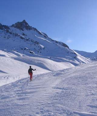 Blick auf das Auenfeld (von Norden)