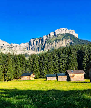 Blaa Alm mit dem Loser im Hintergrund