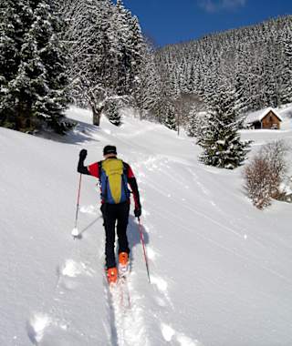 Idyllische Wiese am Beginn des Aufstiegs