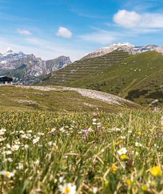 Der Blaser ist für seinen Blumenreichtum bekannt.