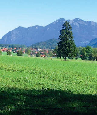 Charakter Blasialm Rundweg