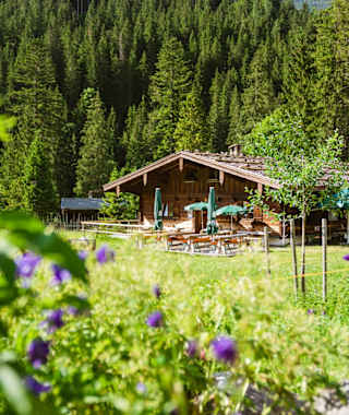 Blick auf die Schwarzachen Alm
