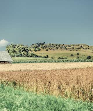 Blick auf den Bopfinger Ipf