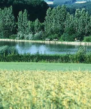 Blick auf die Kirche St. Stefan