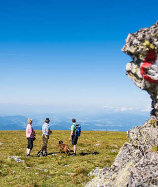 Blick in die Steiermark