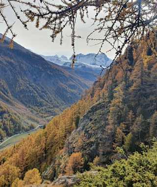 Unterwegs Blick ins Tal und weiter hinten aufs Breithorn (4'164 m)