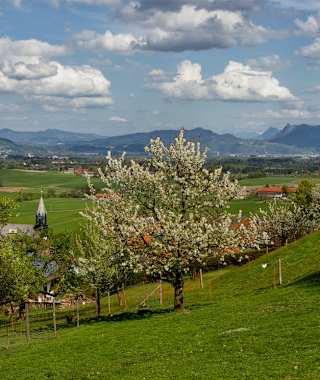 Blick vom Högl ins Salzburger Land