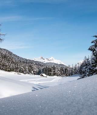 Blick auf die B1 Loipe