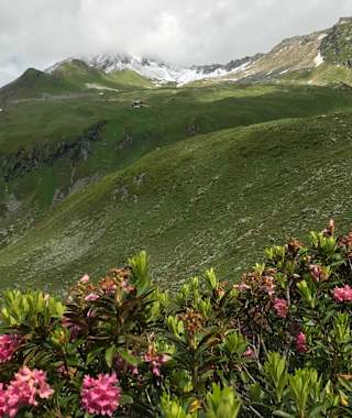 Blick zurück auf die Karl-von-Edel-Hütte