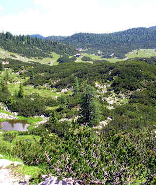 Blick über die weitläufige Reiter Alm