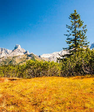 Blick zur Bischofsmütze