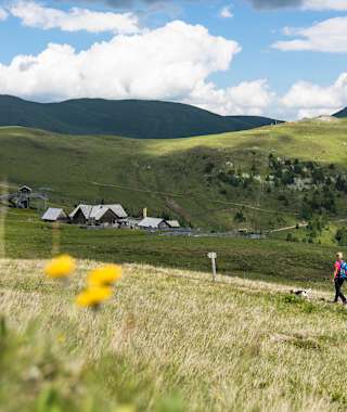 Saftige Almwiesen nahe der Blutigen Alm