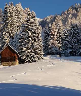 Gemütlich geht es los - Anstieg auf die Böse Nase