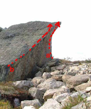 Baby Nase 5a im Sektor Sektensektor am Block 5