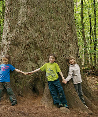 Vier Kinder sind zu wenig! Bei der »dicken Tanne«.