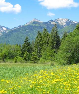 BreitensteinGeigelsteinWiese