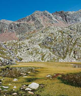 Malerischer Sumpfboden bei der Magdeburger Hütte.