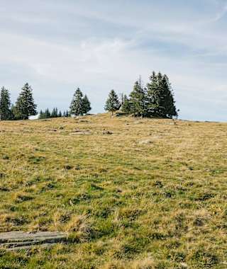 So siehts rund um die Brendlhütte aus.