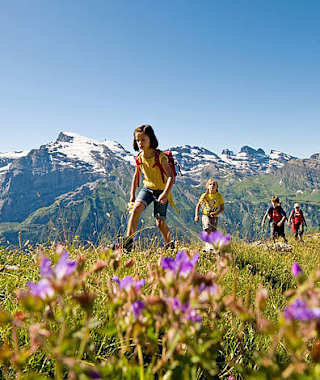 Bergpanorama Brunnipfad