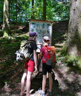 Buchenegger Wasserfälle